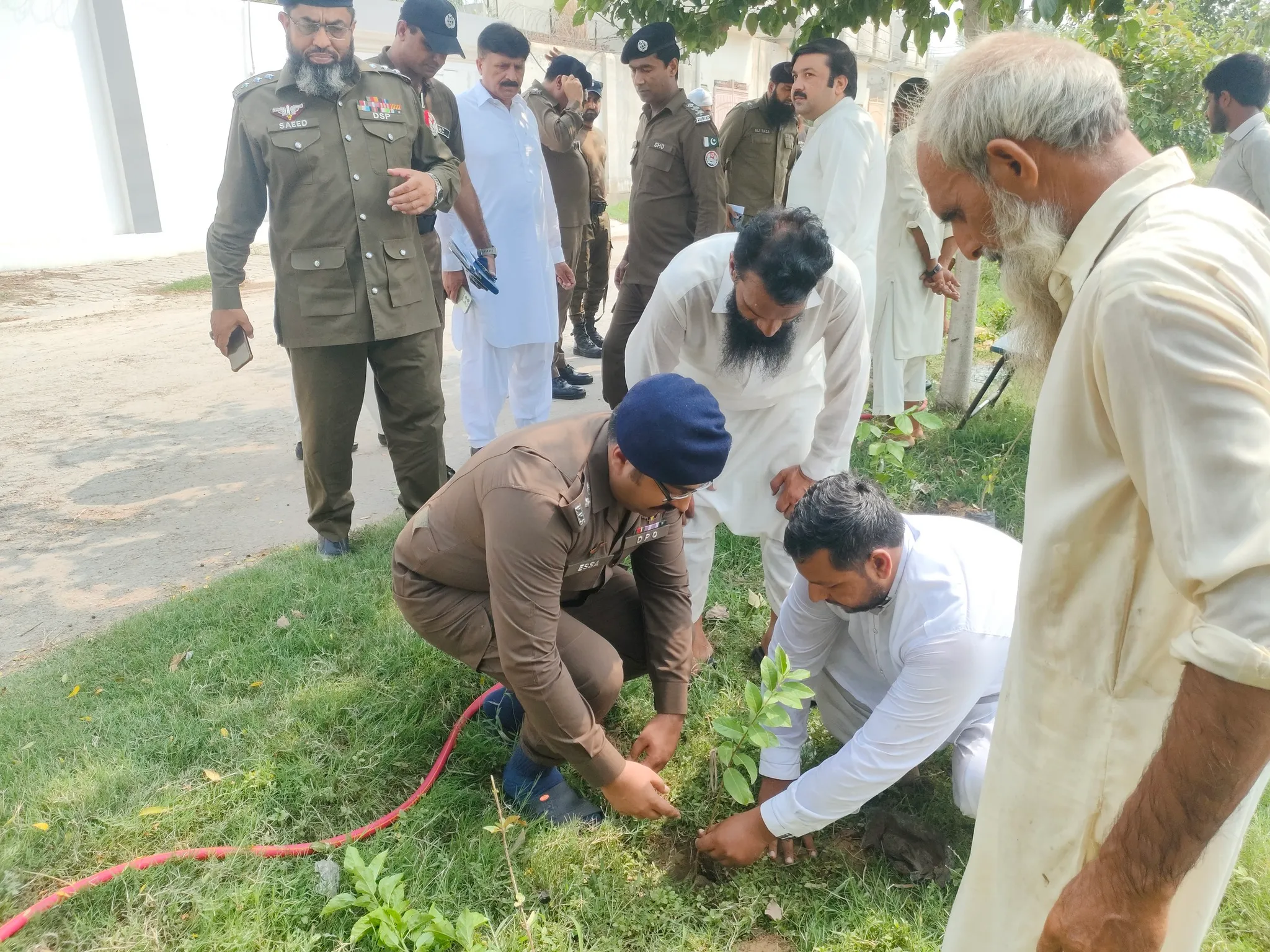 Green Seekers Activity